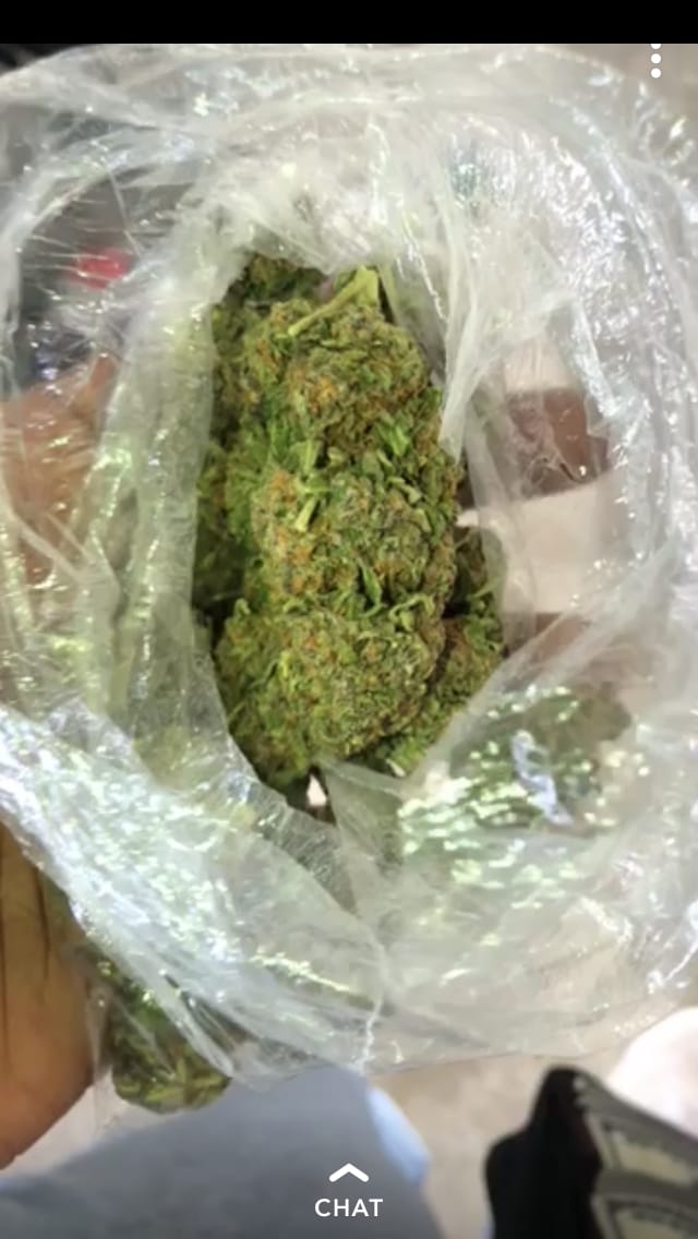 Customer photo review of Cheetah Piss Indoor - Bulk - Hybrid