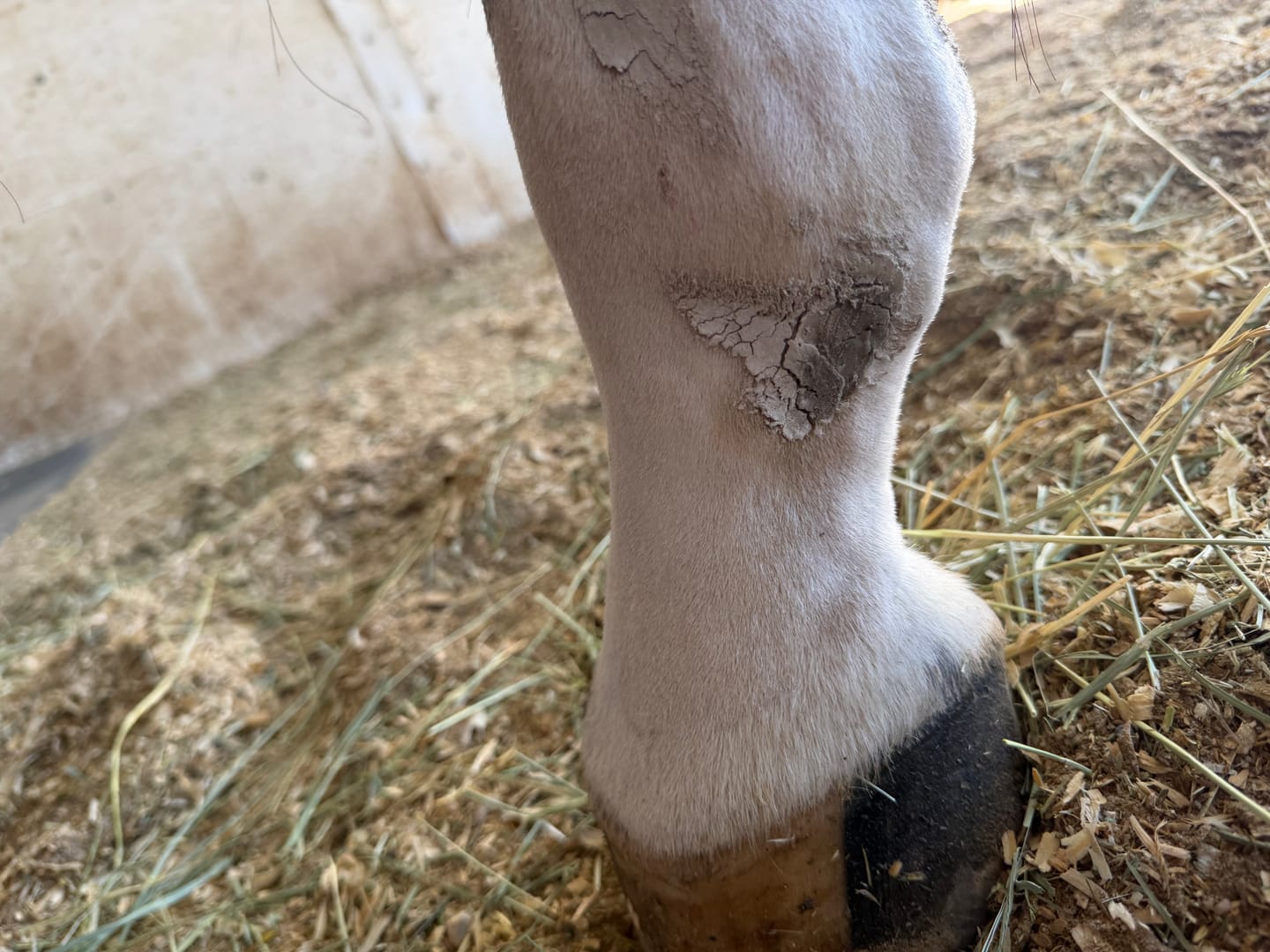 Customer photo review of Trouble Spot Drying Paste