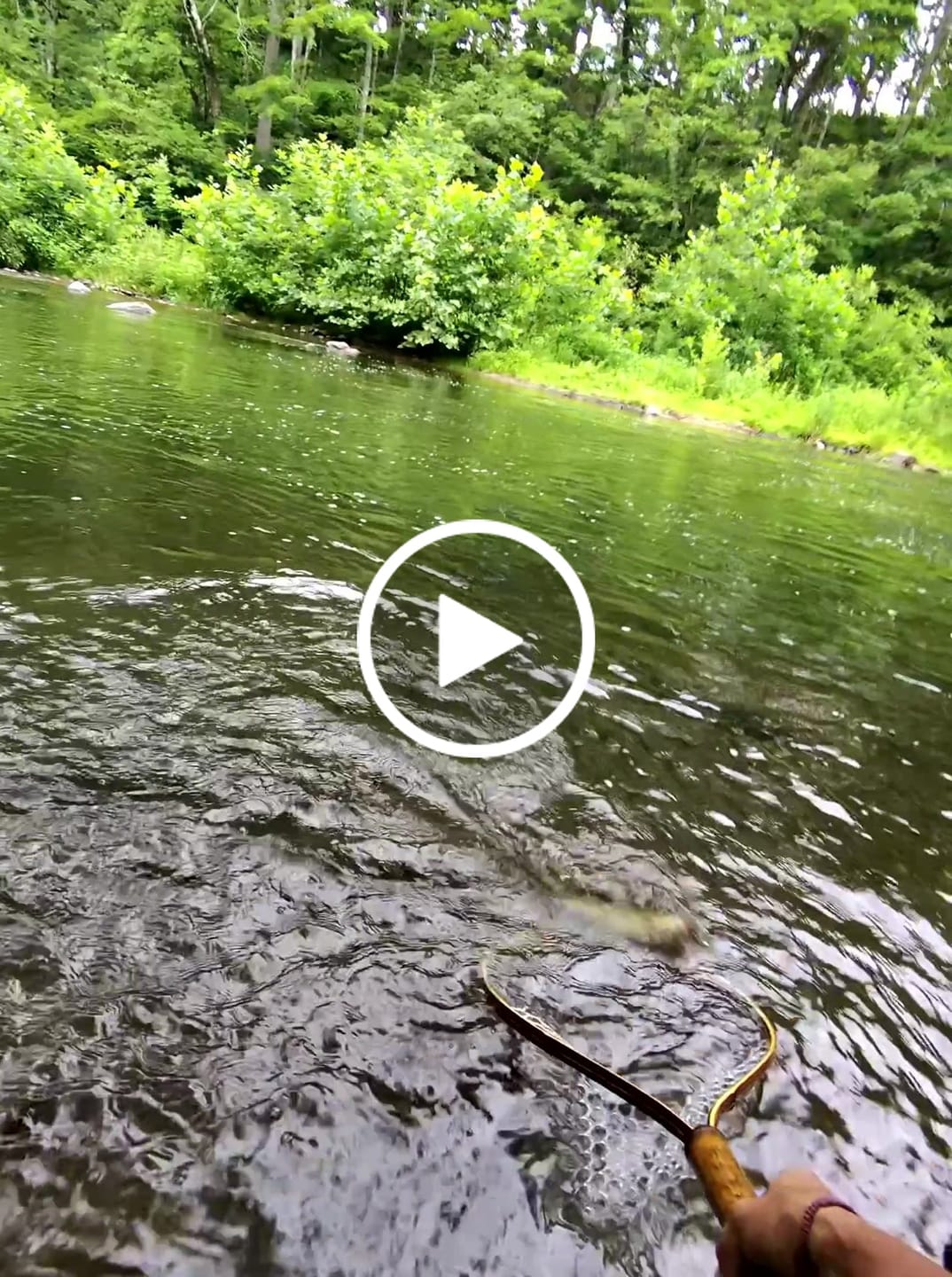 Customer video review of Upstream Wide