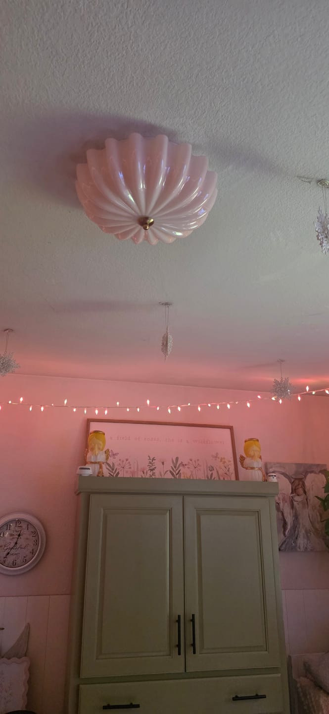 Customer photo review of Art Deco Pleated Flower Shine Glass Semi Flush Mount
