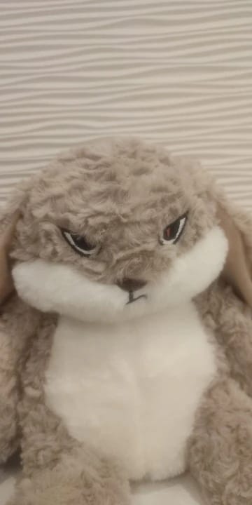 Customer photo review of Pompón™ El Peluche Gruñón Y Adorable