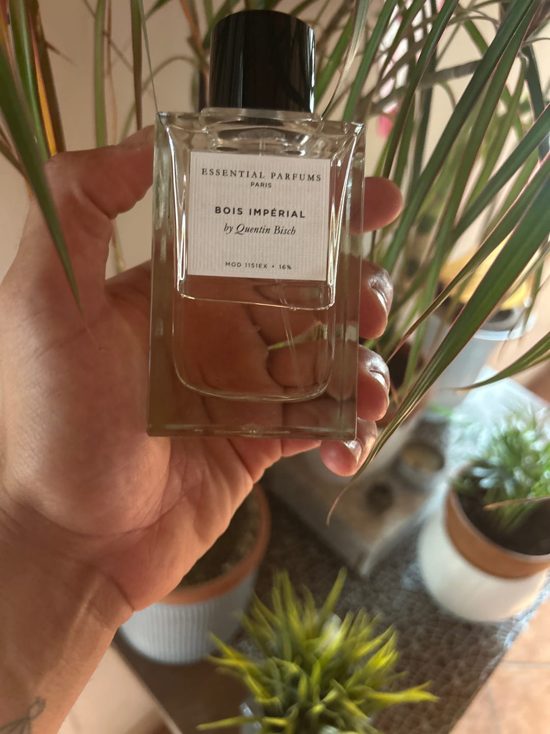 Customer photo review of ESSENTIAL PARFUMS - BOIS IMPERIAL