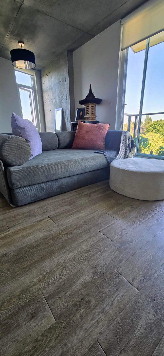Customer photo review of S8 Sleeper Sofa Bed