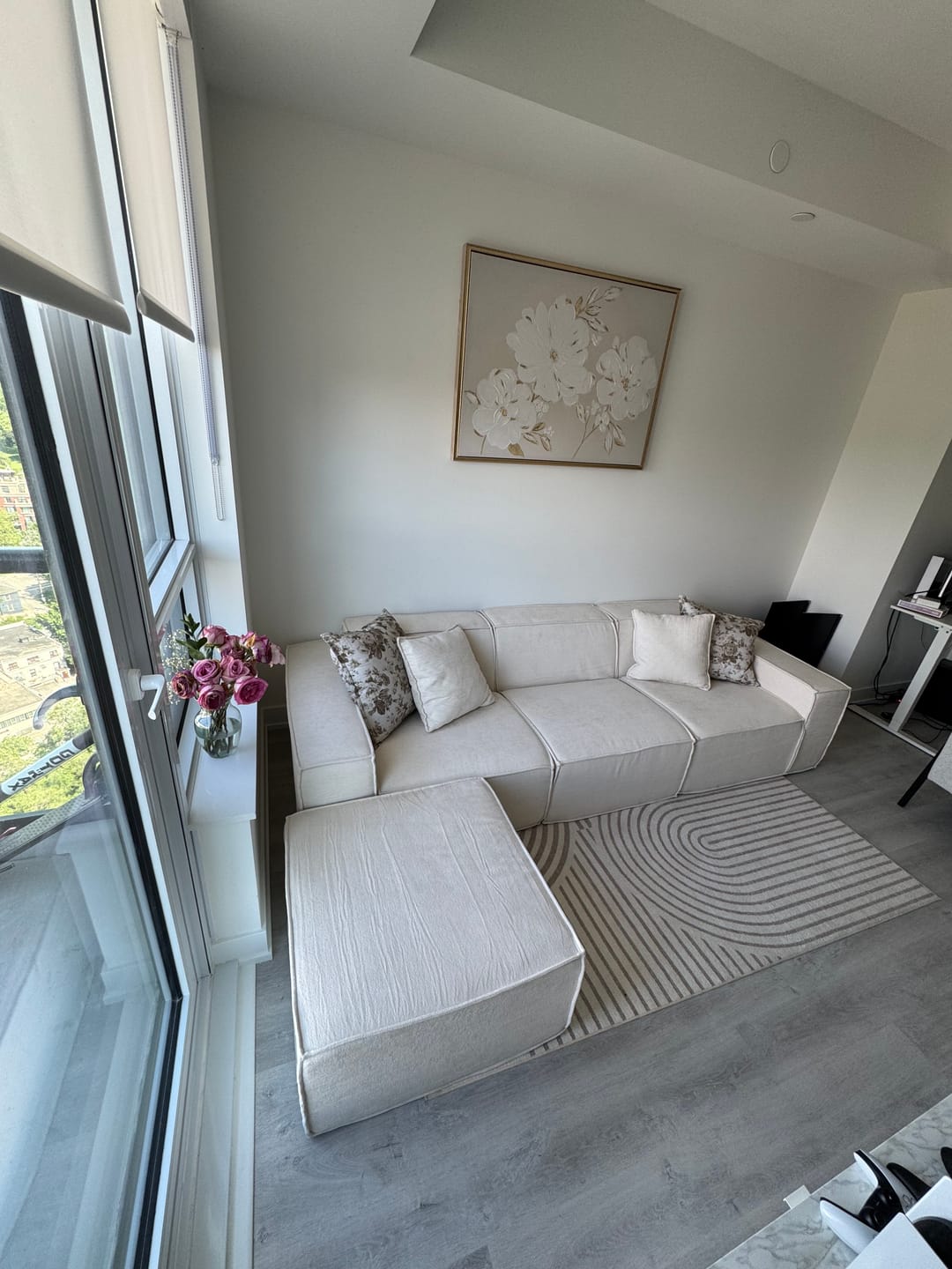 Customer photo review of M1 Sofa Sectional