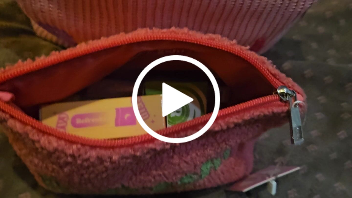 Customer video review of SAC SURPRISE STANDARD