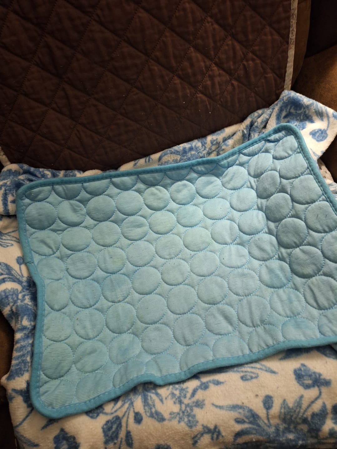 Customer photo review of IcyNap | Ice-Silk Continuous Cooling Dog Cooling Mat