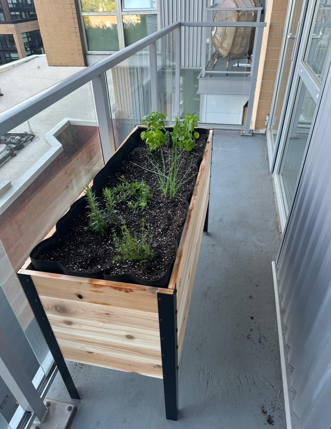Customer photo review of 18" x 48" Raised Garden Bed - 30" TALL / Garden Grade