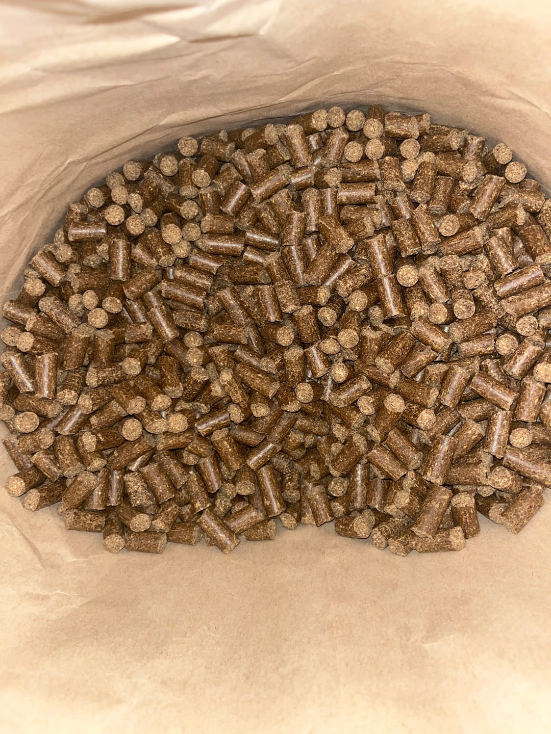 Customer photo review of Kaltgepresstes Hundefutter mit 10 Superfoods (Huhn) | nährstoffreich & gut verträglich | ohne künstliche Zusatzstoffe | Alleinfuttermittel