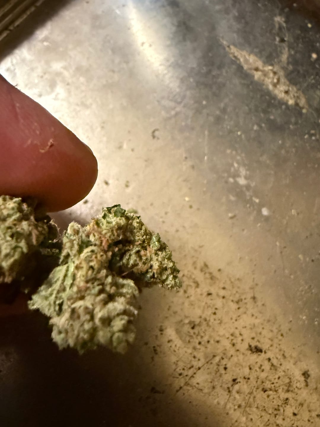 Customer photo review of Blue Dream - Minis - 28 Grams - Sativa