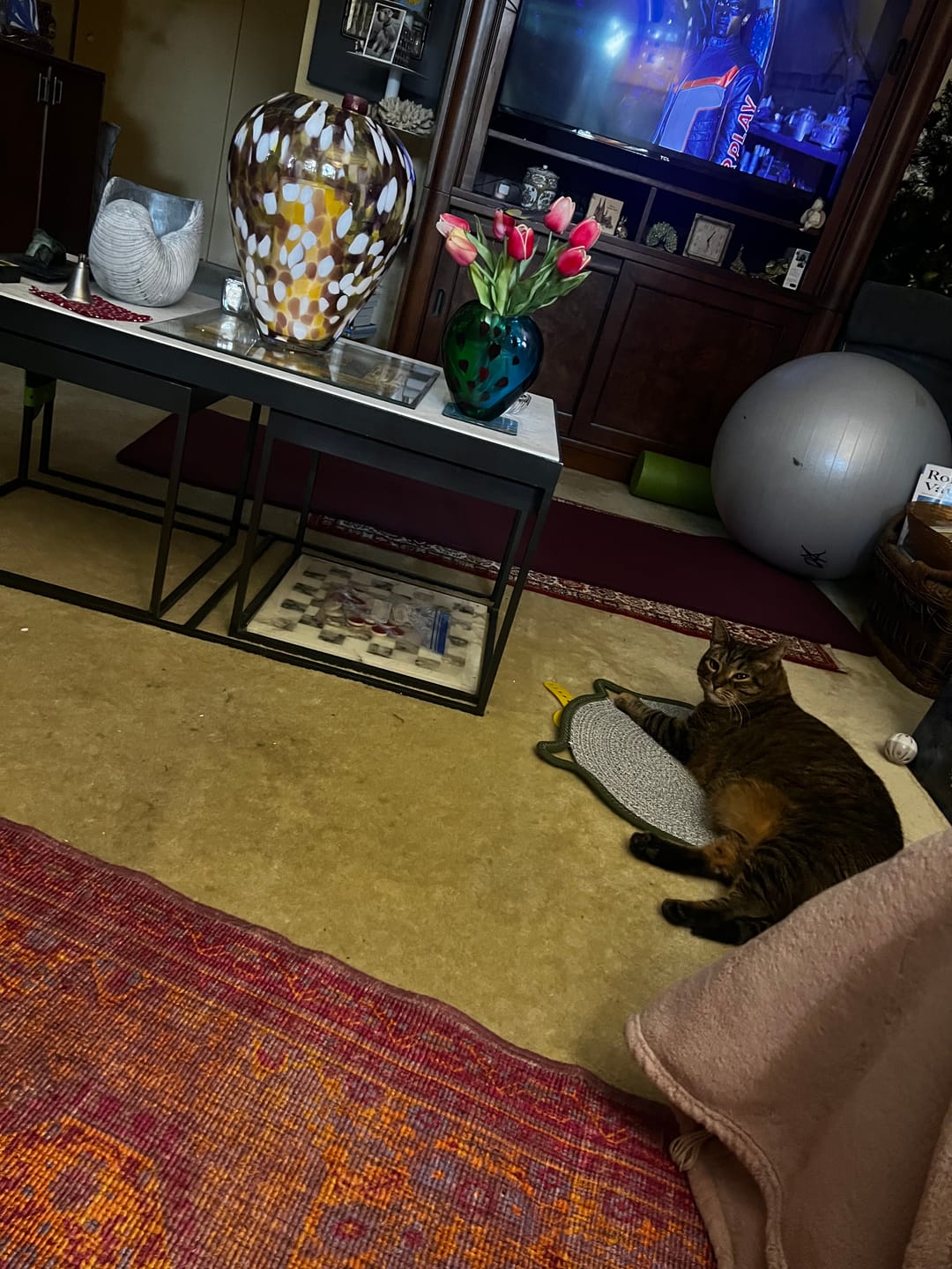 Customer photo review of Instinct Mat | The Scratching Mat Her Biology Actually Recognizes (NEW)