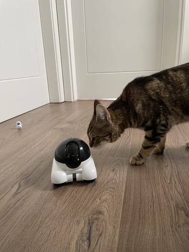 Customer photo review of Blinky Bot™ PRO