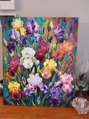 Customer photo review of Colorful Iris Garden (80 Colors)