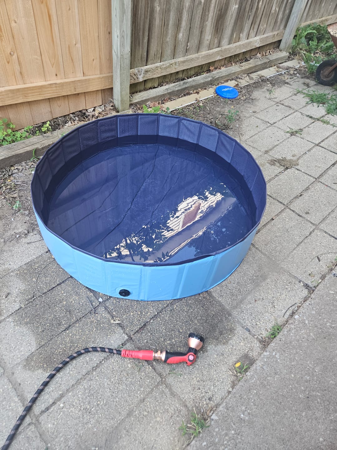 Customer photo review of Team K9® Foldable Dog Pool