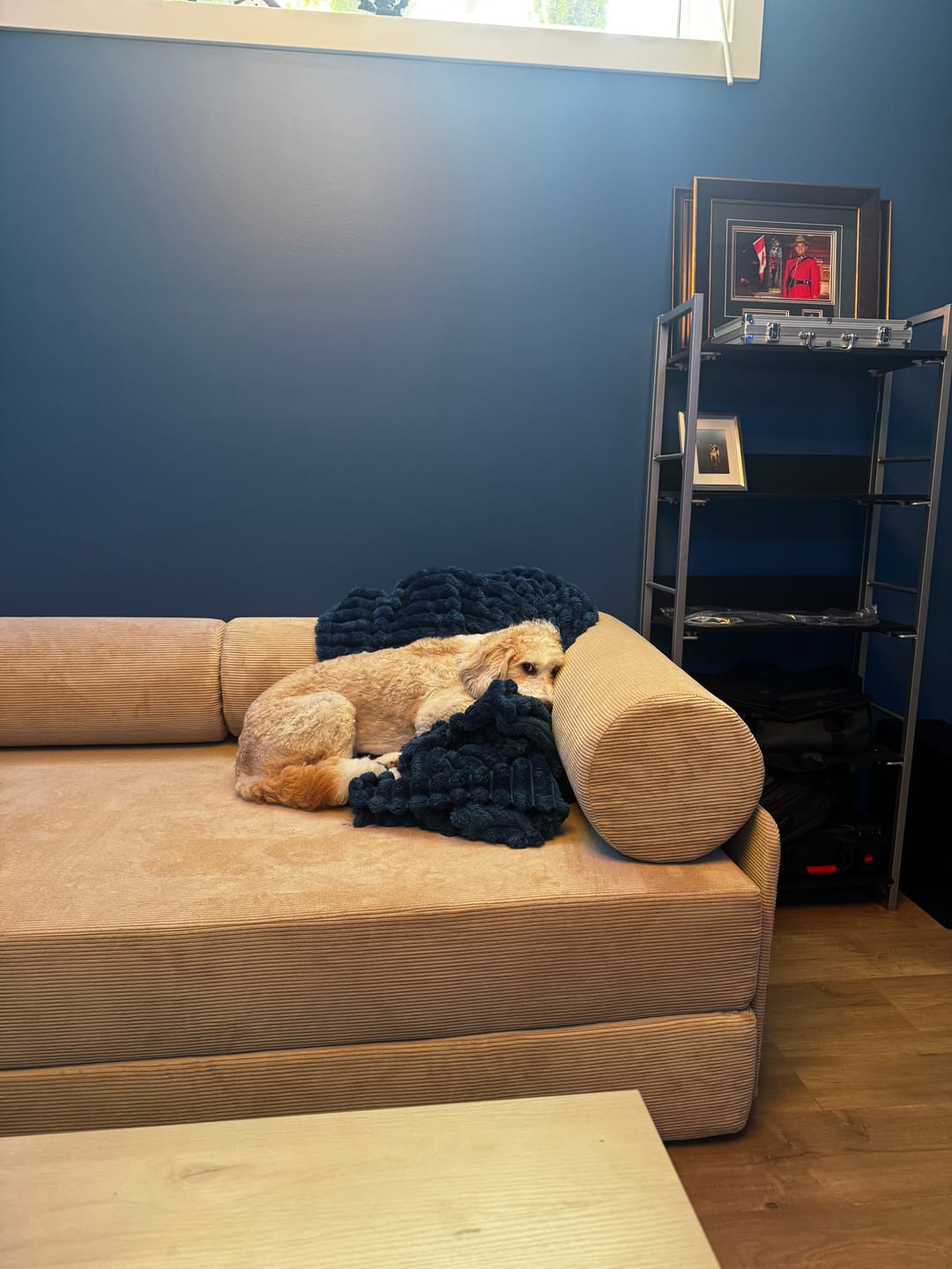 Customer photo review of S8 Sleeper Sofa Bed