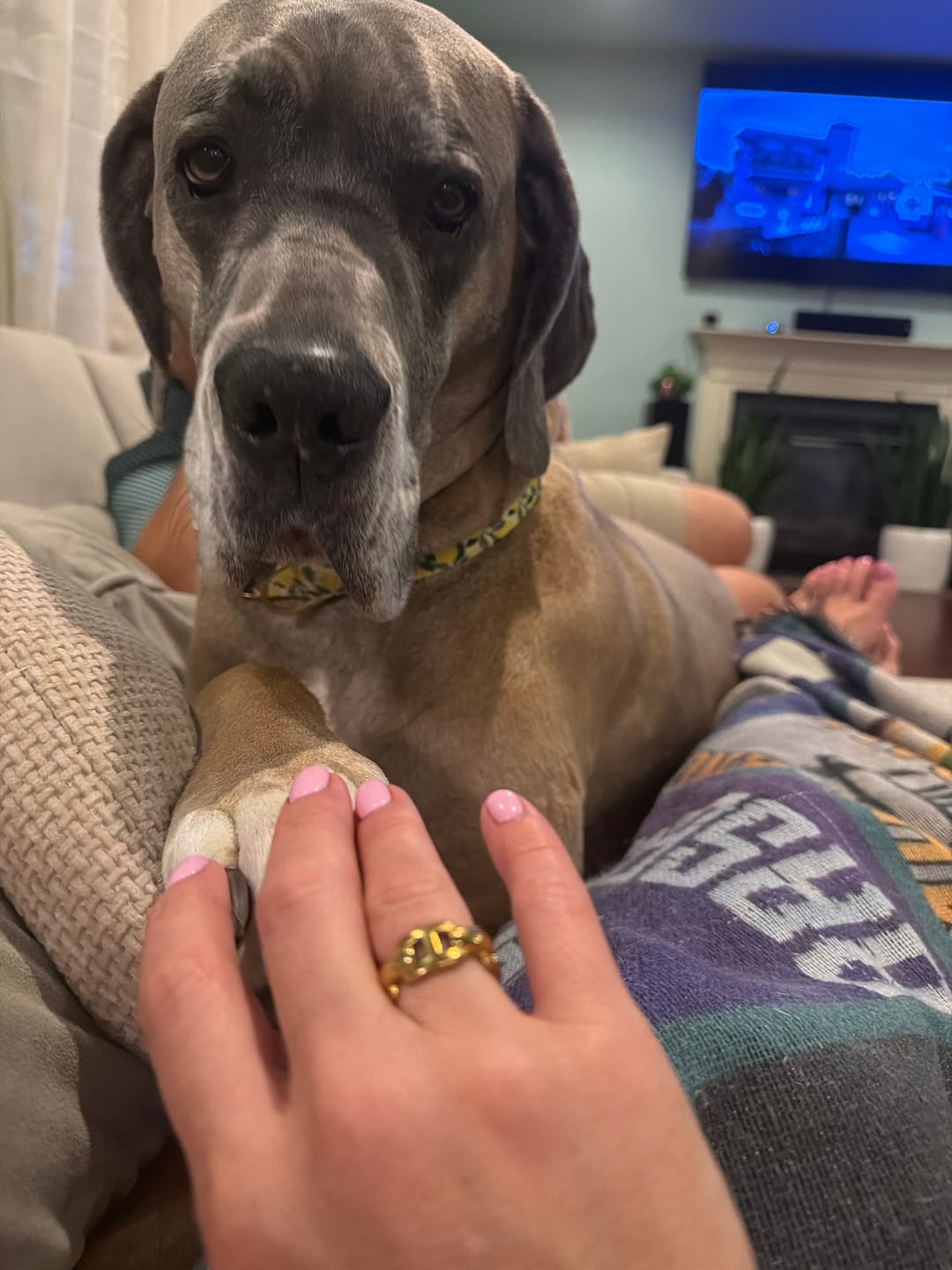 Customer photo review of Anchor Chain Ring (Bundle)