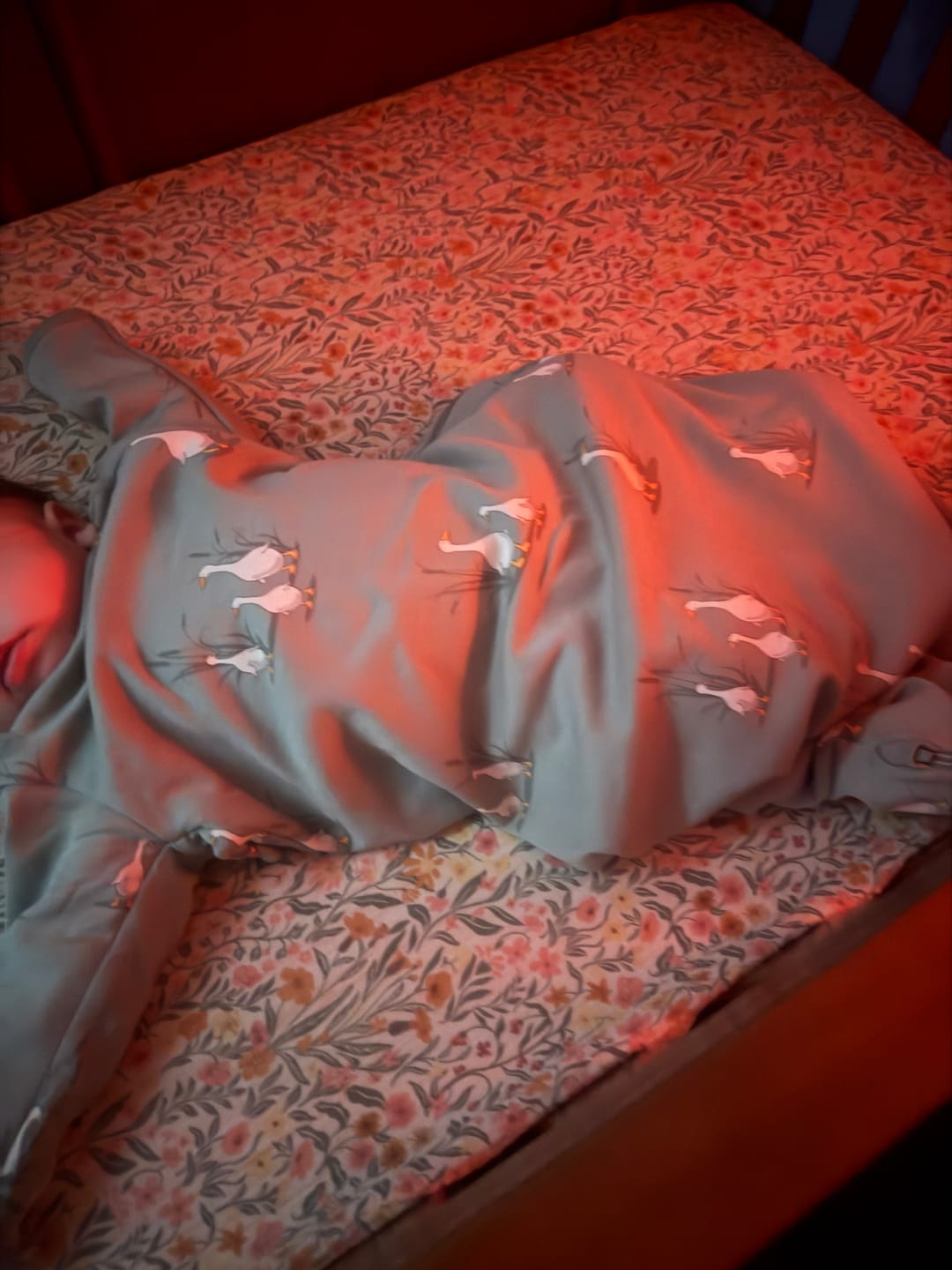 Customer photo review of Slumber Sack, Baby Sleep Bag with Sleeves, Merino Wool & Organic Cotton, Goose
