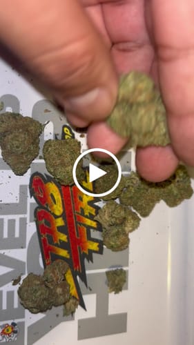 Customer video review of Frosted Gumbo THCA Flower
