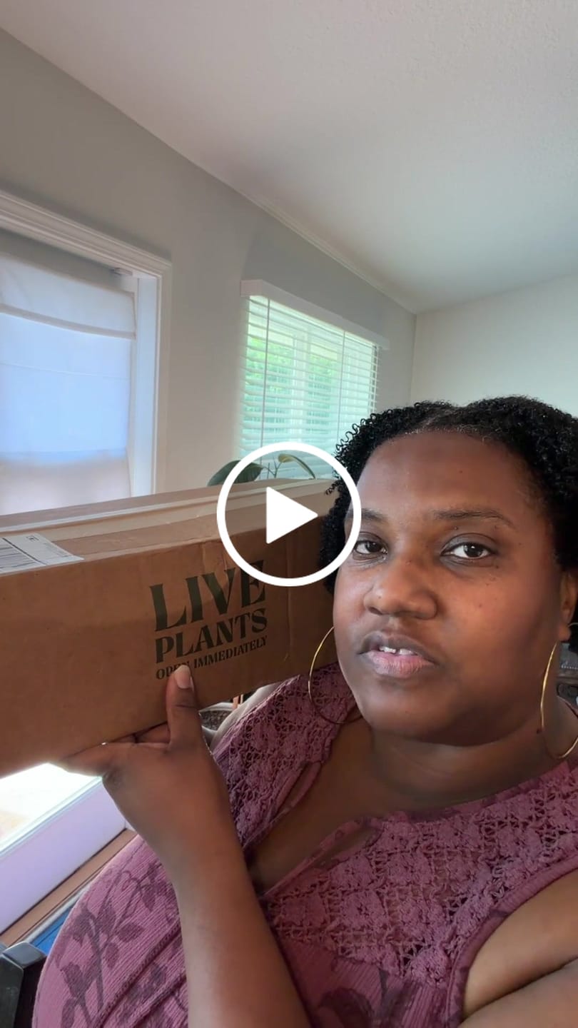Customer video review of Pothos Plants Bundle - Set of 4
