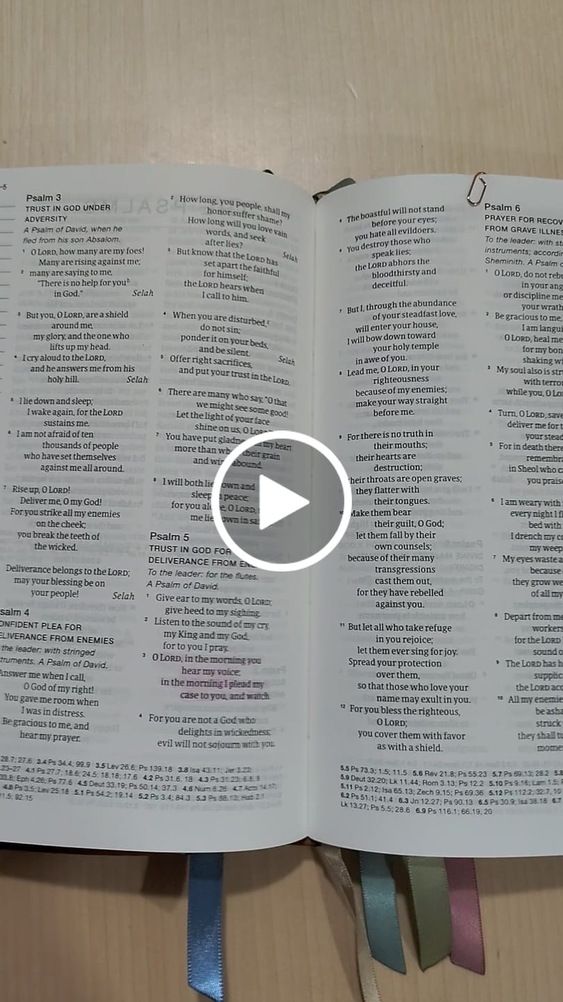 Customer video review of Blessed is She Compact Journaling Bible