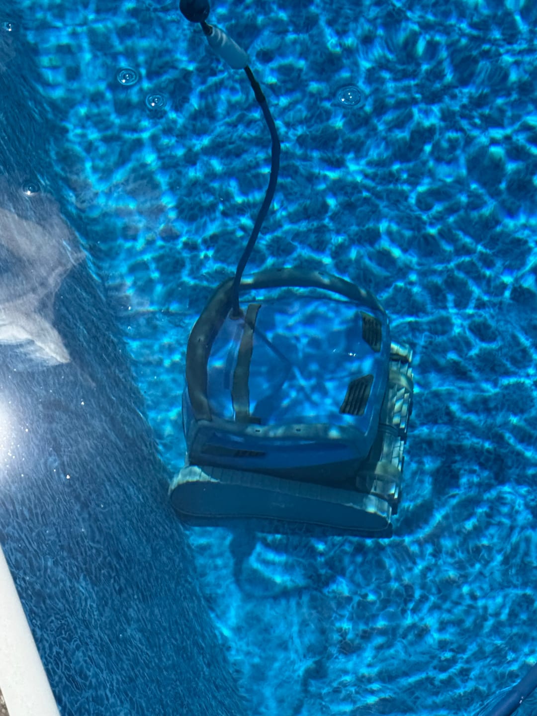 Customer photo review of Dolphin M600 Robotic Pool Cleaner - Enhanced Warranty