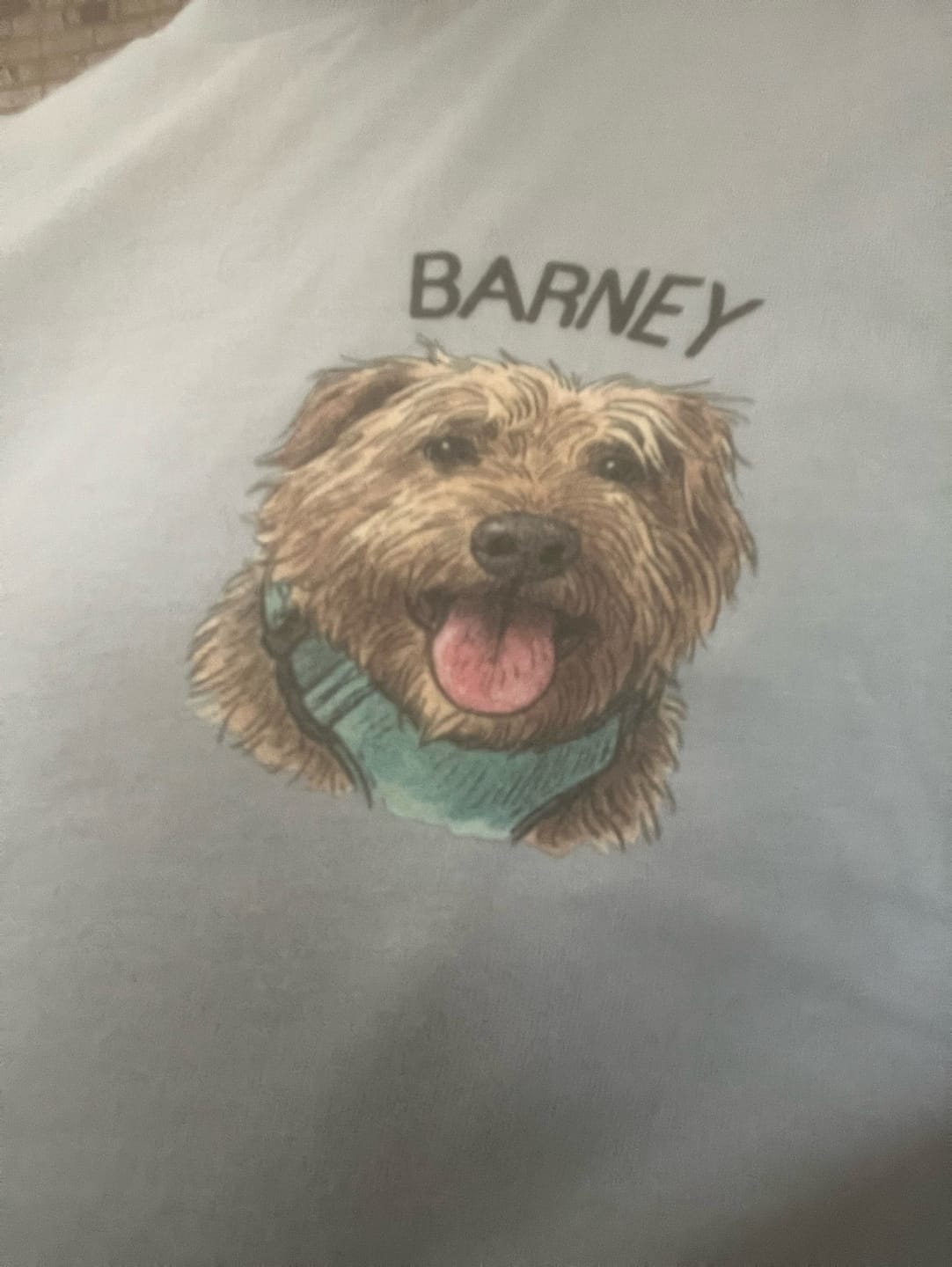 Customer photo review of Custom Pet T-shirt for Men - Pet Drawing Style