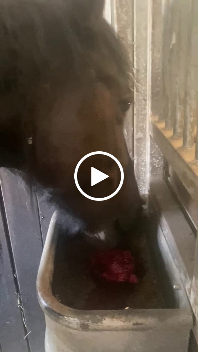 Customer video review of Einhornstaub