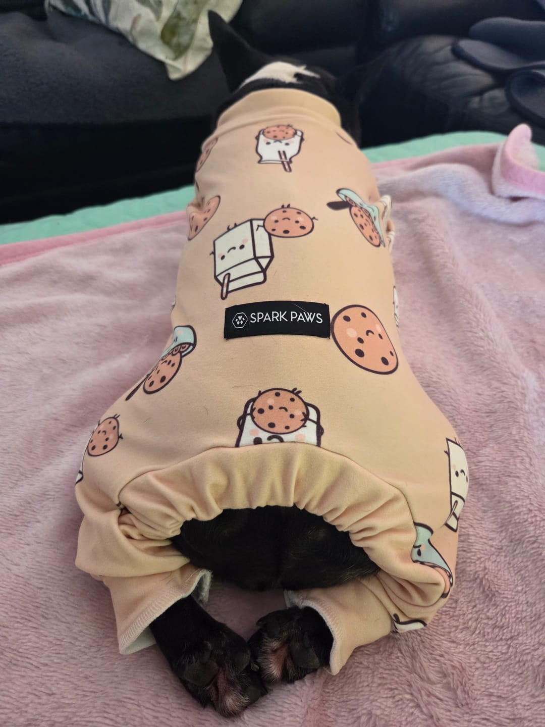 Customer photo review of Dog Pajama - Cookies and Milk