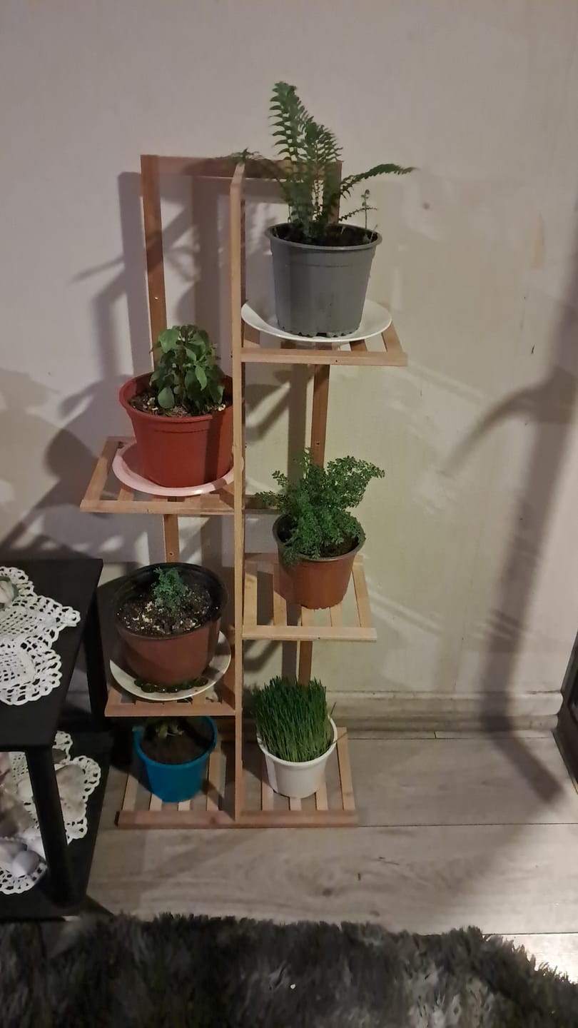 Customer photo review of Soporte para Plantas de 5 Niveles y 7 Niveles Estante Organizador de Macetas
