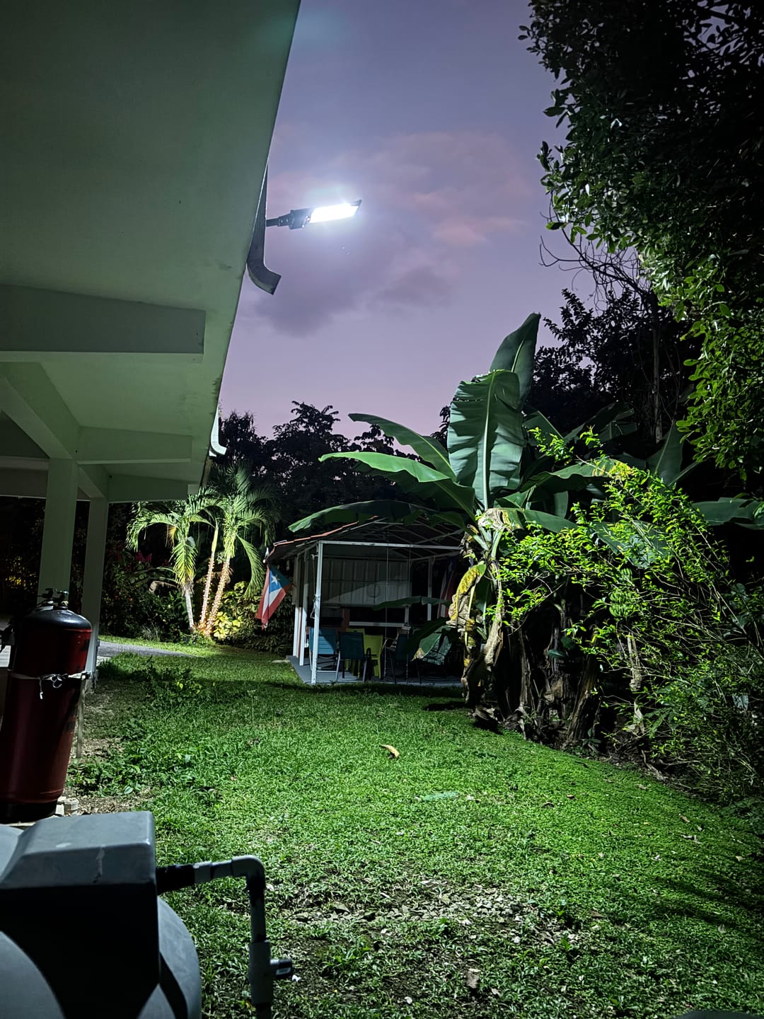 Customer photo review of Foco Solar 600 Watts