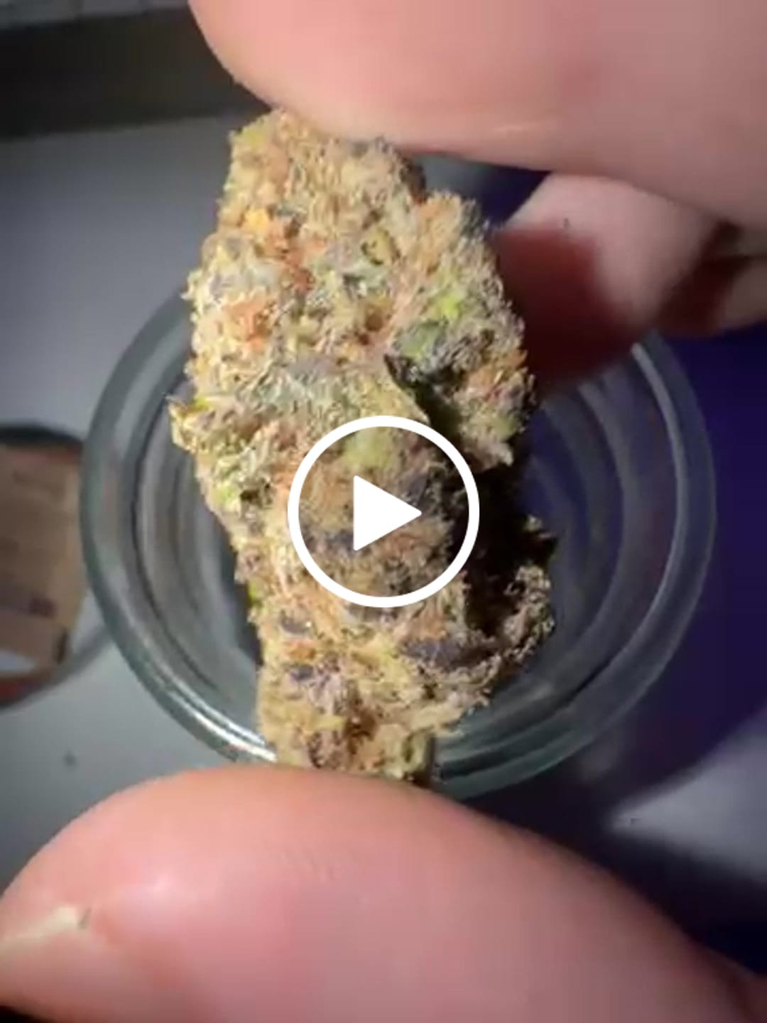 Customer video review of Grape Gas Mask Exotic THCA