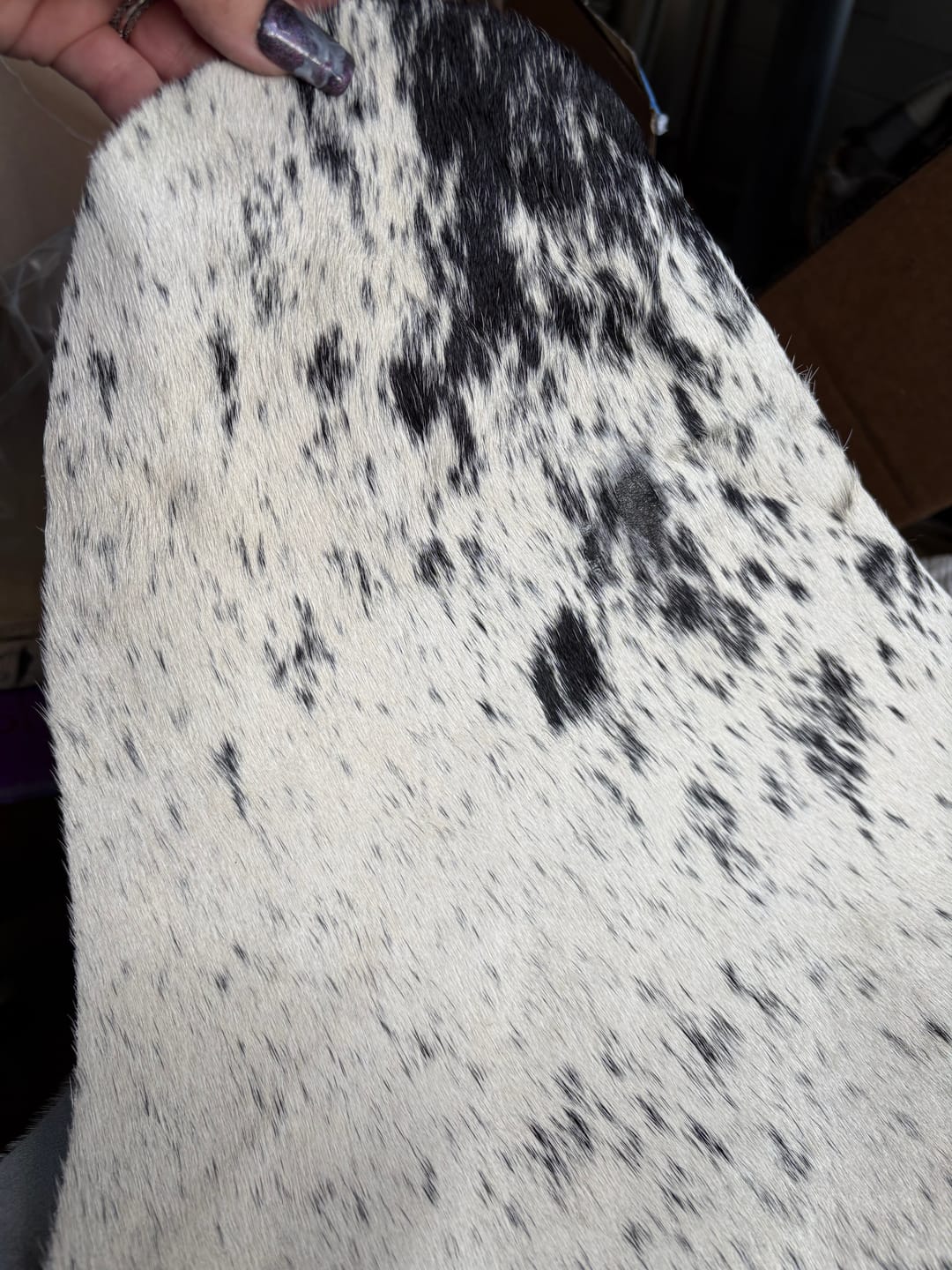 Customer photo review of SUPER SALE Black Salt & Pepper Natural Cowhide Rug - XX-Large 8' 0"H x 7' 3"W