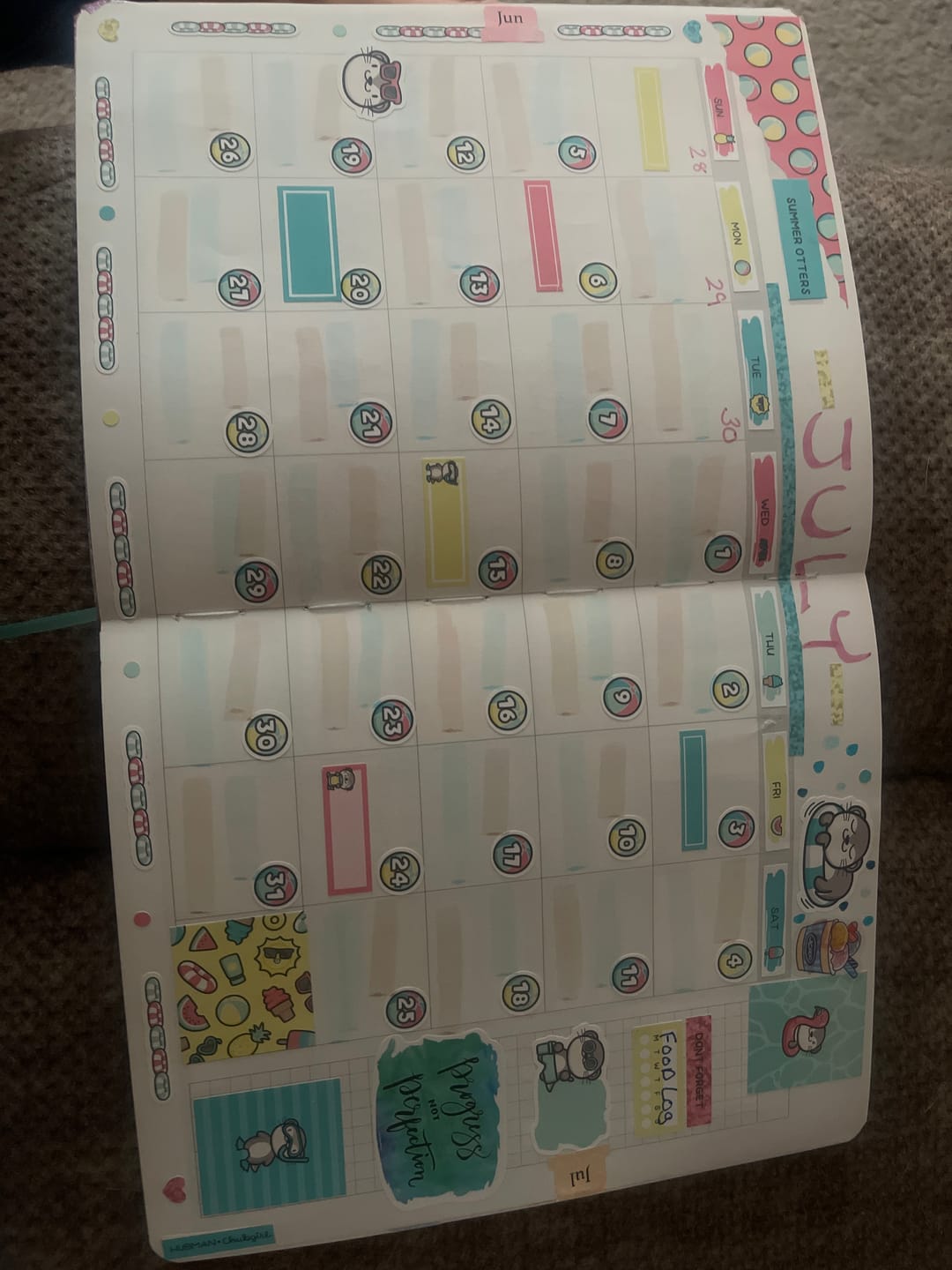 Customer photo review of Summer Otters Days and Date Covers