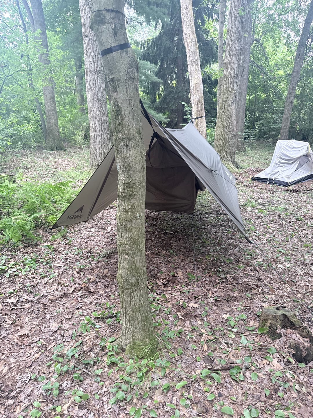 Customer photo review of Haven Camp Fly