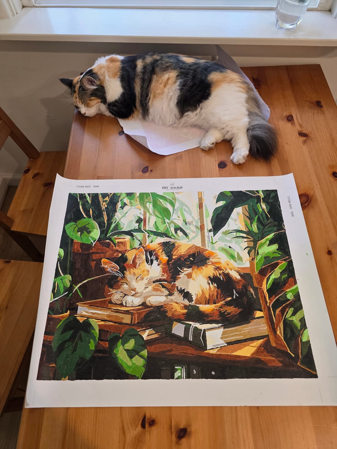 Customer photo review of Sleeping Cat at the Window | Paint by Number