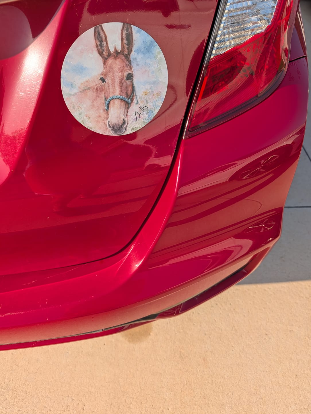 Customer photo review of Watercolor - Personalized Car Magnet