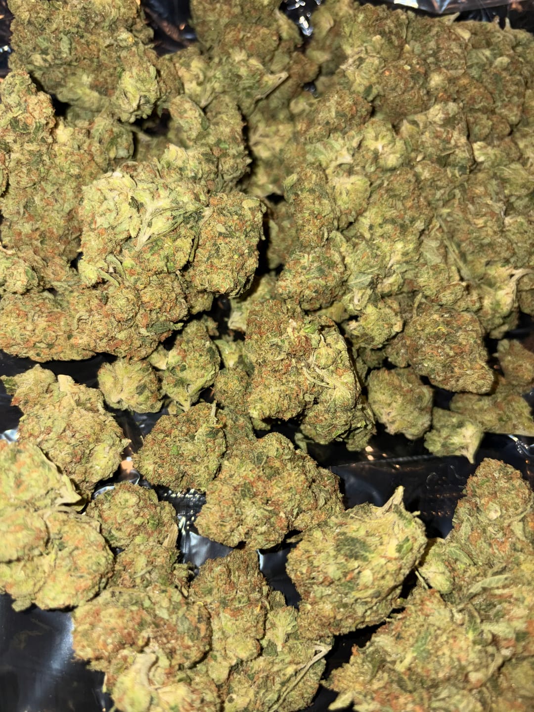 Customer photo review of Alien OG - Bulk - Indica
