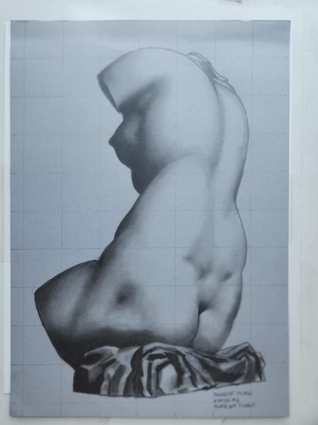 Customer photo review of Bargue Plate 1, 64. Female Torso, Rear View (Torse de Femme, Vu de Dos)