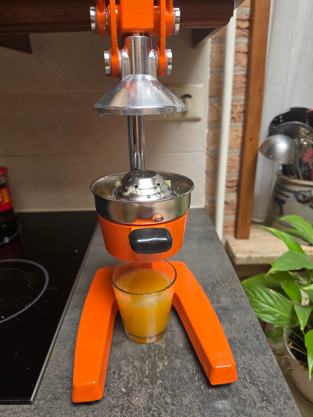 Customer photo review of Cookinglife Citruspers - Gietijzer - Hevelmodel - Oranje