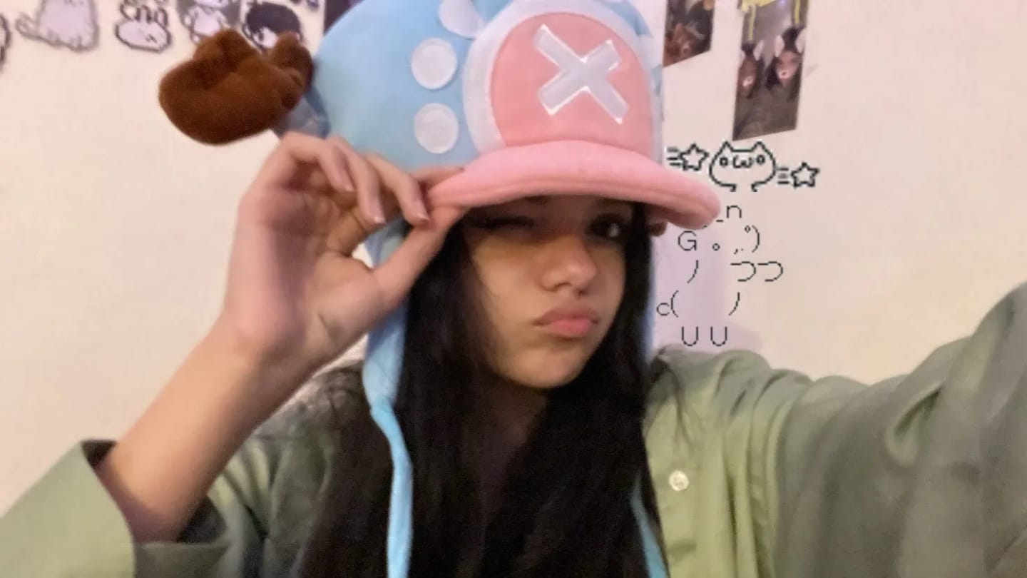 Customer photo review of Chopper Plush Cosplay Hat
