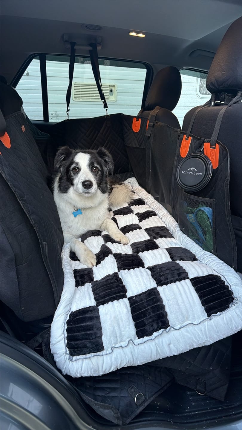 Customer photo review of Custom-Fit Travel Bed