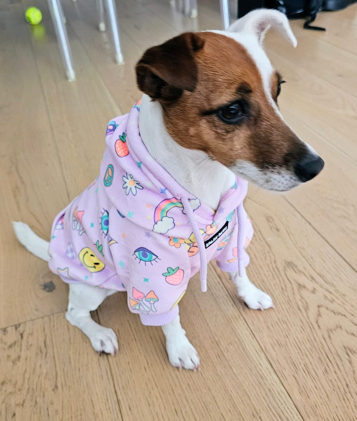 Customer photo review of Good Vibes Dog Hoodie - Purple