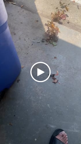 Customer video review of 1 Year Warranty