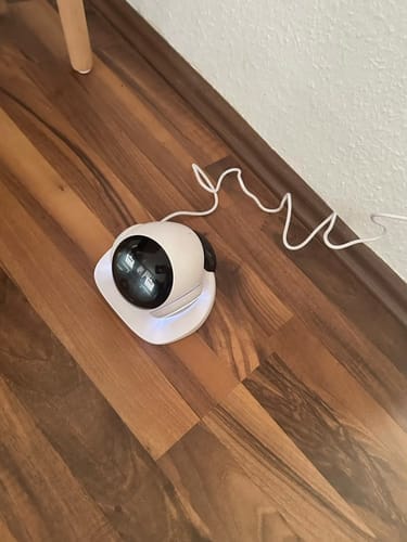 Customer photo review of Blinky Bot™ Echo