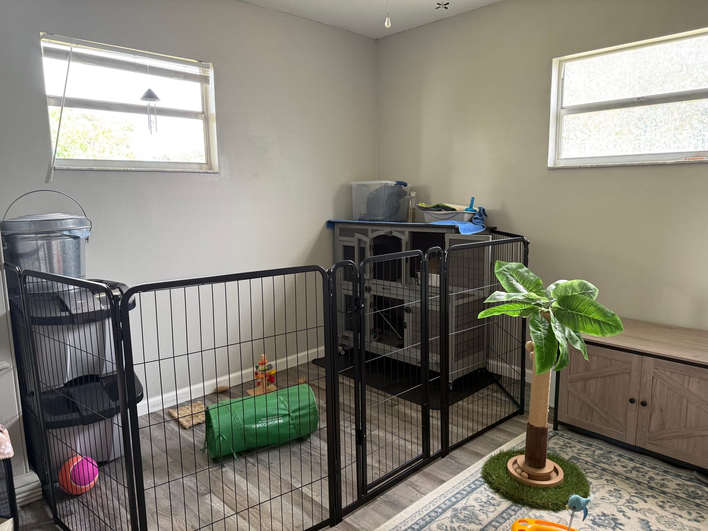 Customer photo review of FXW Ultra Waterproof Pet Floor Protector Mat and Under Dog Crate Mat
