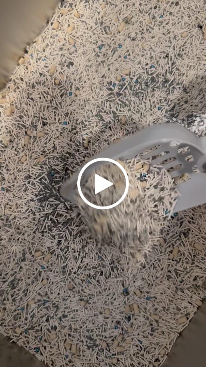 Customer video review of 4 In 1 Mixed Cat Litter