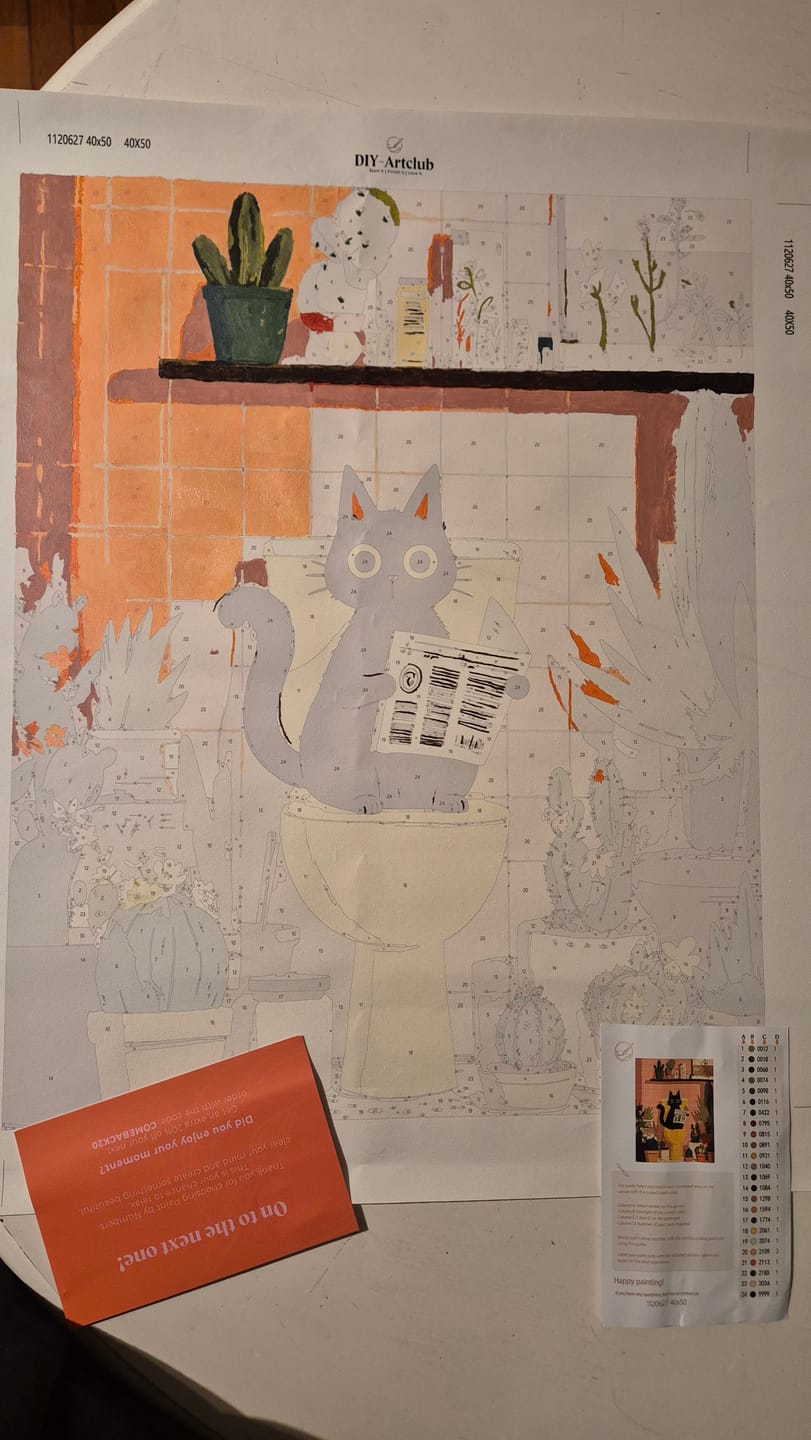 Customer photo review of The black cat on the toilet | Paint by Number