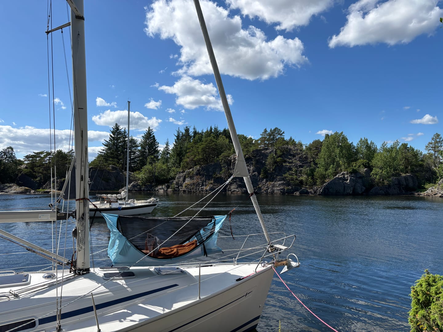 Customer photo review of Haven XL