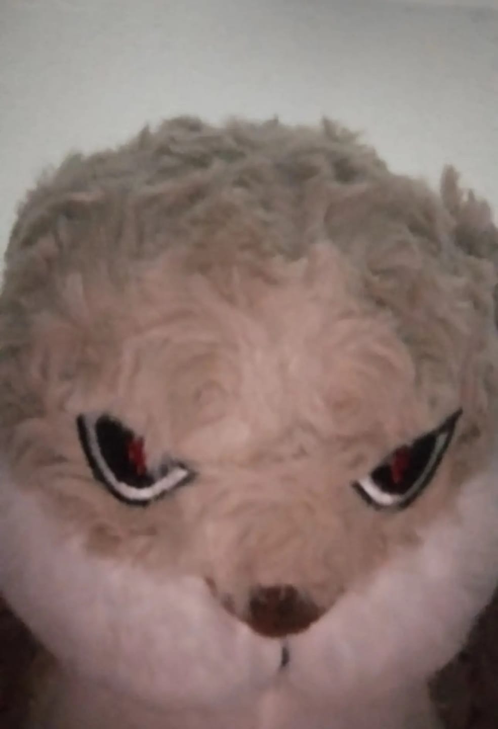 Customer photo review of Pompón™ El Peluche Gruñón Y Adorable