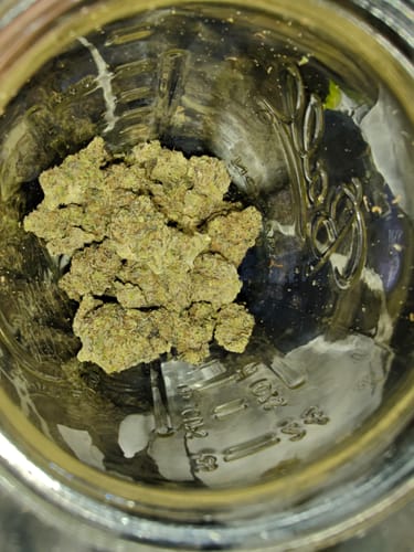 Customer photo review of Cheap Indoor THCA Flower Ounce