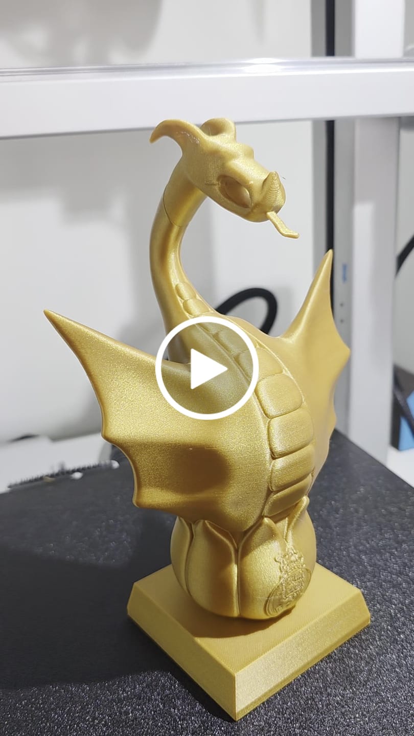 Customer video review of Anycubic Kobra S1 Combo
